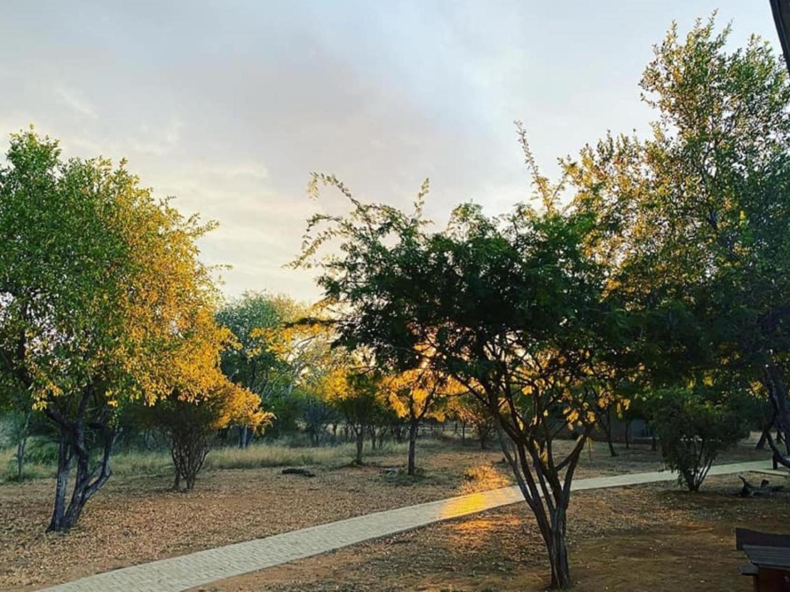 Kubu Bush
