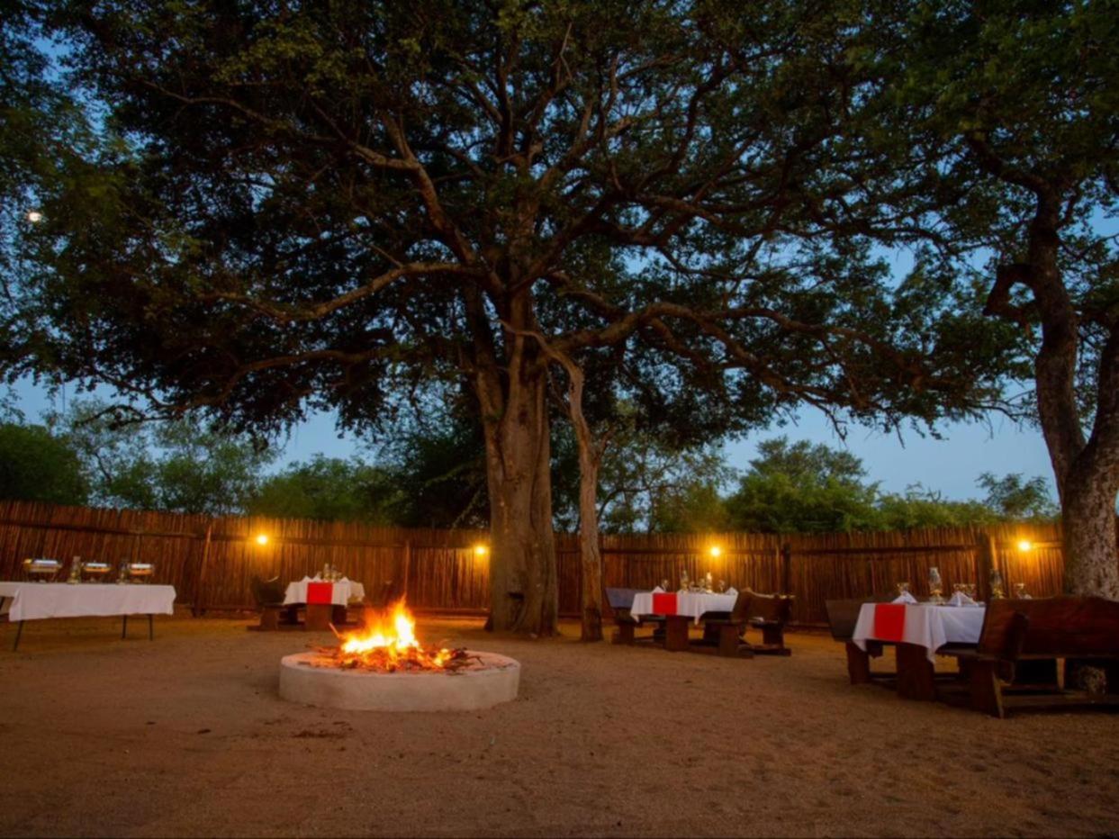 Lodge Kubu Bush Hoedspruit