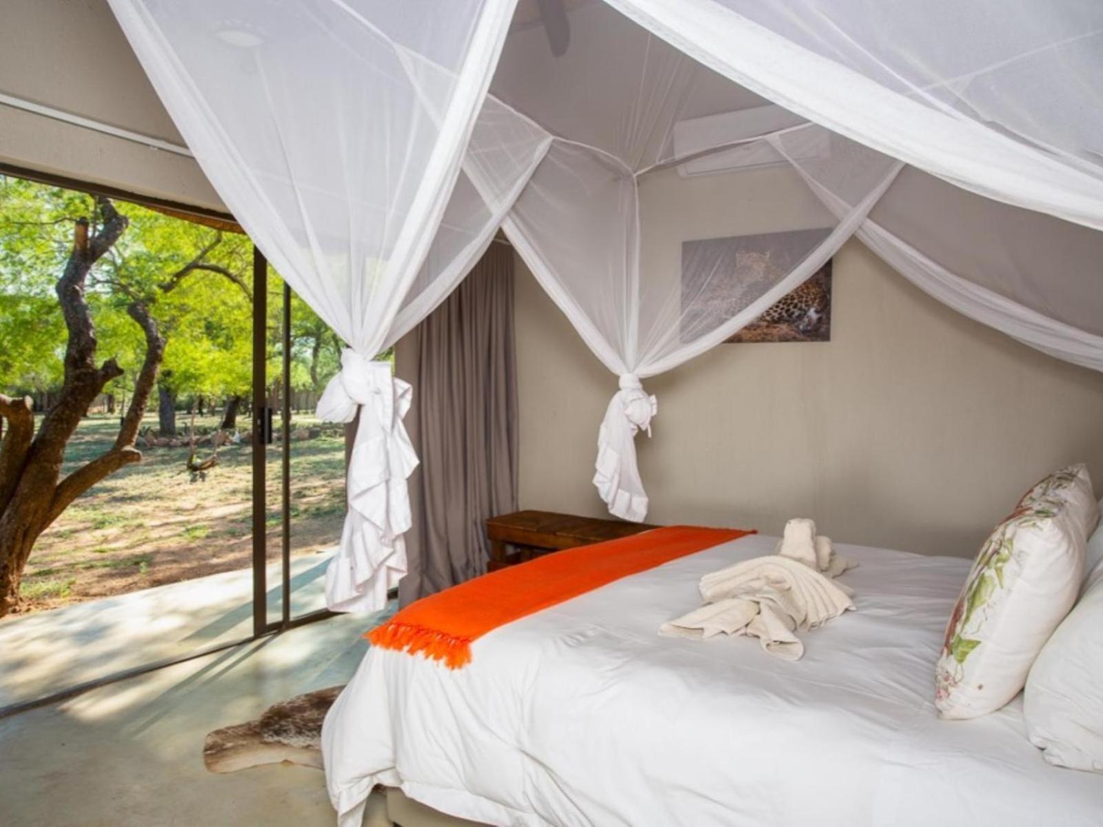 Kubu Bush Lodge Hoedspruit